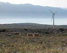 Three sheep in a rocky plateau, with a wind turbine and mountains in the background